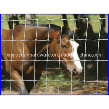 Hot Sale Metal Livestock Fence / Farm Fence
